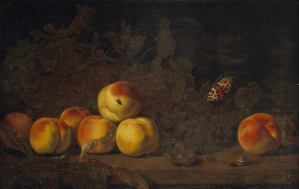 Natura morta con pesche 1